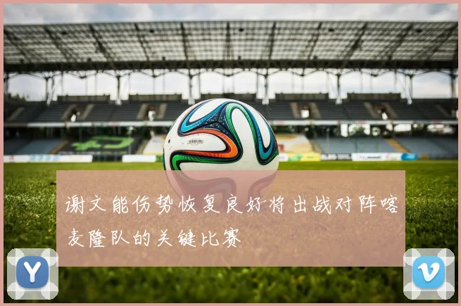 谢文能伤势恢复良好将出战对阵喀麦隆队的关键比赛