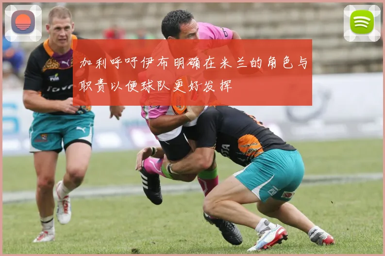加利呼吁伊布明确在米兰的角色与职责以便球队更好发挥