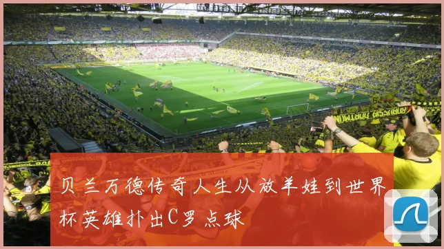 贝兰万德传奇人生从放羊娃到世界杯英雄扑出C罗点球